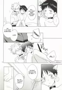 (HaruCC18) [Mm. (Moto)] Shin-chan ga Hatsujouki ni Narimashita. (Neon Genesis Evangelion) [English] [SeekingEyes]