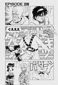 [ITOYOKO] Dragon Pink THE SECRET POWER