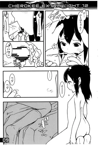 CHEROKEE EXTRA LIGHT 12