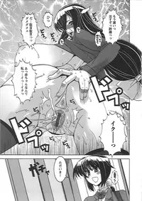 [HG Chagawa] Mesuinu no Hibi