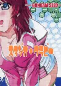 (CR33) [Studio Wallaby (Takana Yu-ki)] SECRET FILE NEXT 6 (Kidou Senshi Gundam SEED)