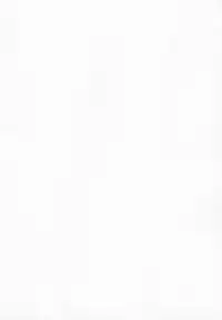 (C85) [Shinba Oolong Cha (Various)] syowgaku sei 12