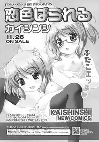 COMIC RiN 2010-12