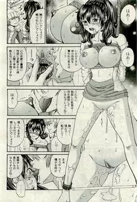COMIC PLUM 2009-11