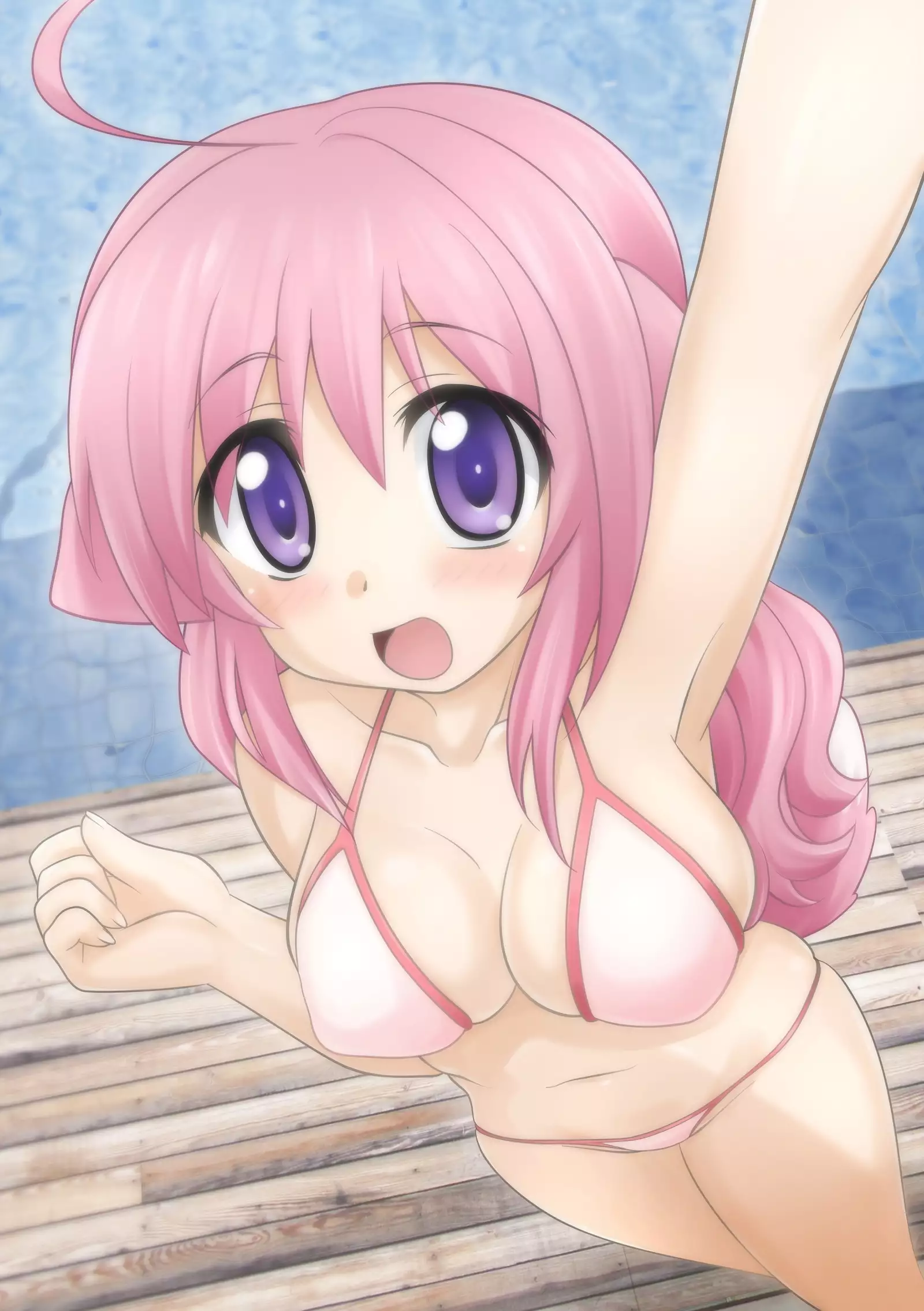 Punipuni Flonyard "Omakeban"