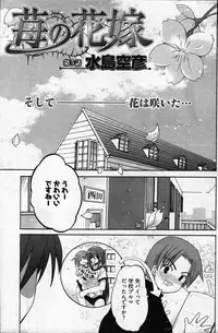 Young Comic 2007-05