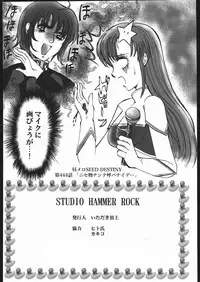 [STUDIO HAMMER ROCK (Itadaki Choujo)] Nise Mono Nante Ko Banai De... (Gundam SEED DESTINY)