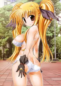 (C75) [STUDIO HUAN (Raidon)] New Fate-chan. Mahiru no Rojou Choukyou Hen ALL Full Color Soushuuhen (Mahou Shoujo Lyrical Nanoha)