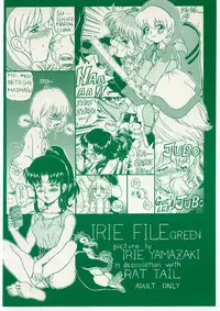 (C54) [Rat Tail (Irie Yamazaki)] IRIE FILE GREEN (Neon Genesis Evangelion, Akazukin Cha Cha)