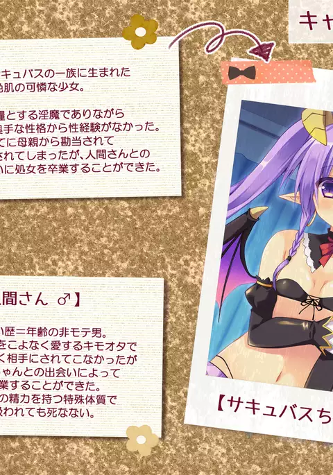 Hajirai Succubus 2