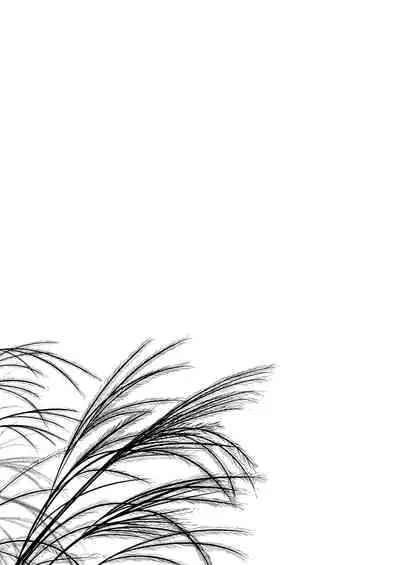 [Noraneko-no-Tama (Yukino Minato)] Hikari no Kimi no Saganaki Keikaku <Nokiba no Ogi> [Decensored] [Digital]