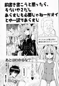 (C74) [Studio Wallaby (Shizaki Masayuki)] Ecchii no wa Suki Desu ka? 2 (To LOVE-Ru)
