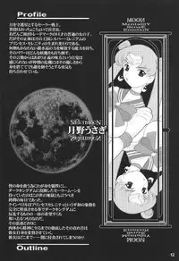 [DangerouS ThoughtS (Kiken Shisou)] MaD ArtistS SailoR MooN (Bishoujo Senshi Sailor Moon)