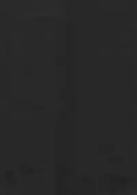 [Ninomiya Ryouzou] Junketsu Maniac Seijo