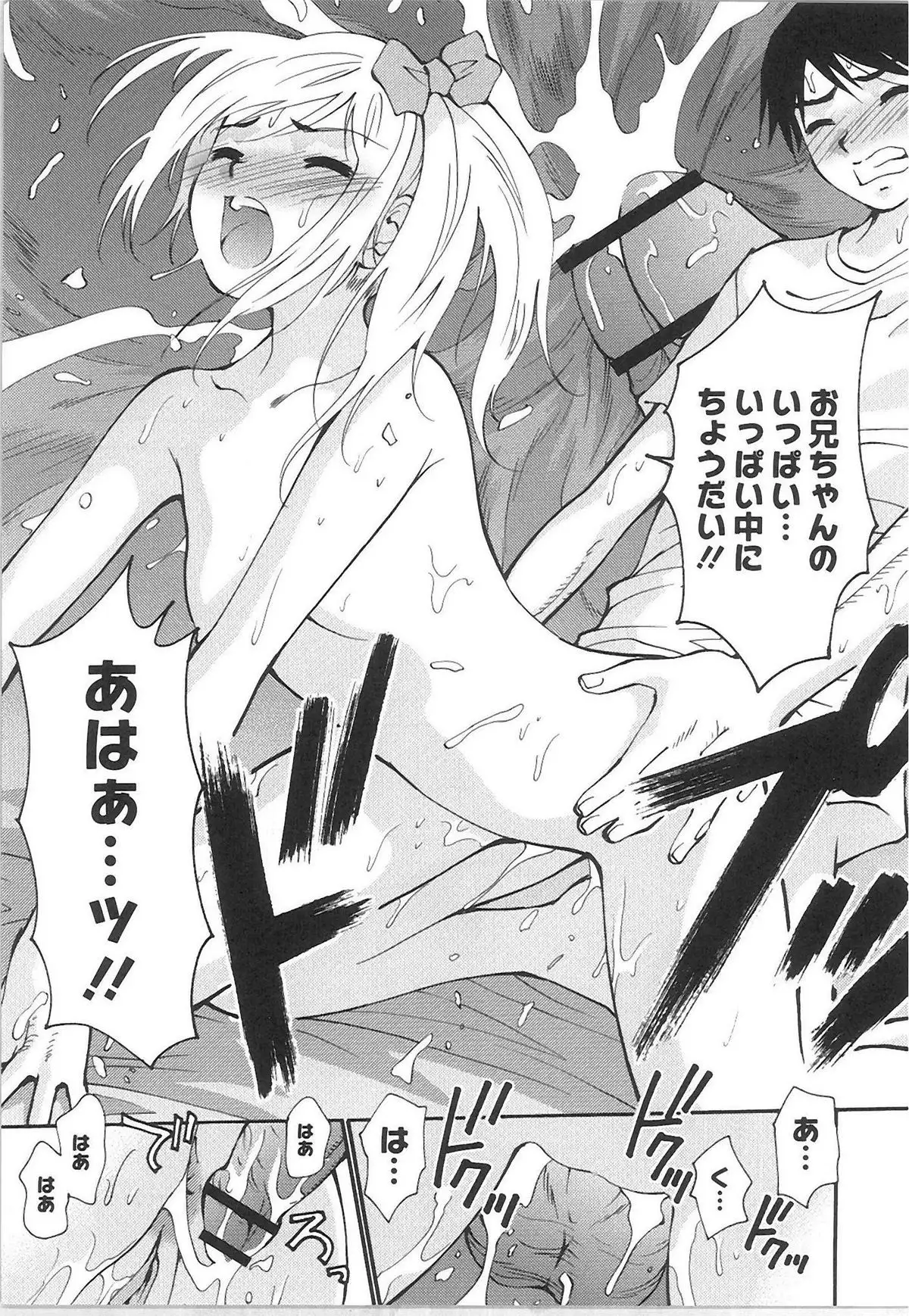 QooPA2015-06 No,11