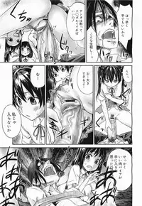 COMIC Megamilk 2011-11 Vol. 17