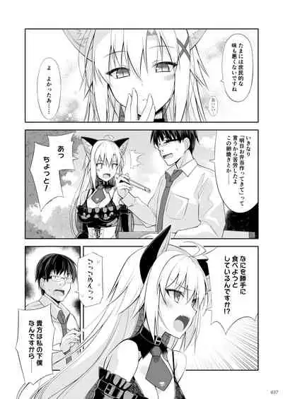 Neko to Geboku EX