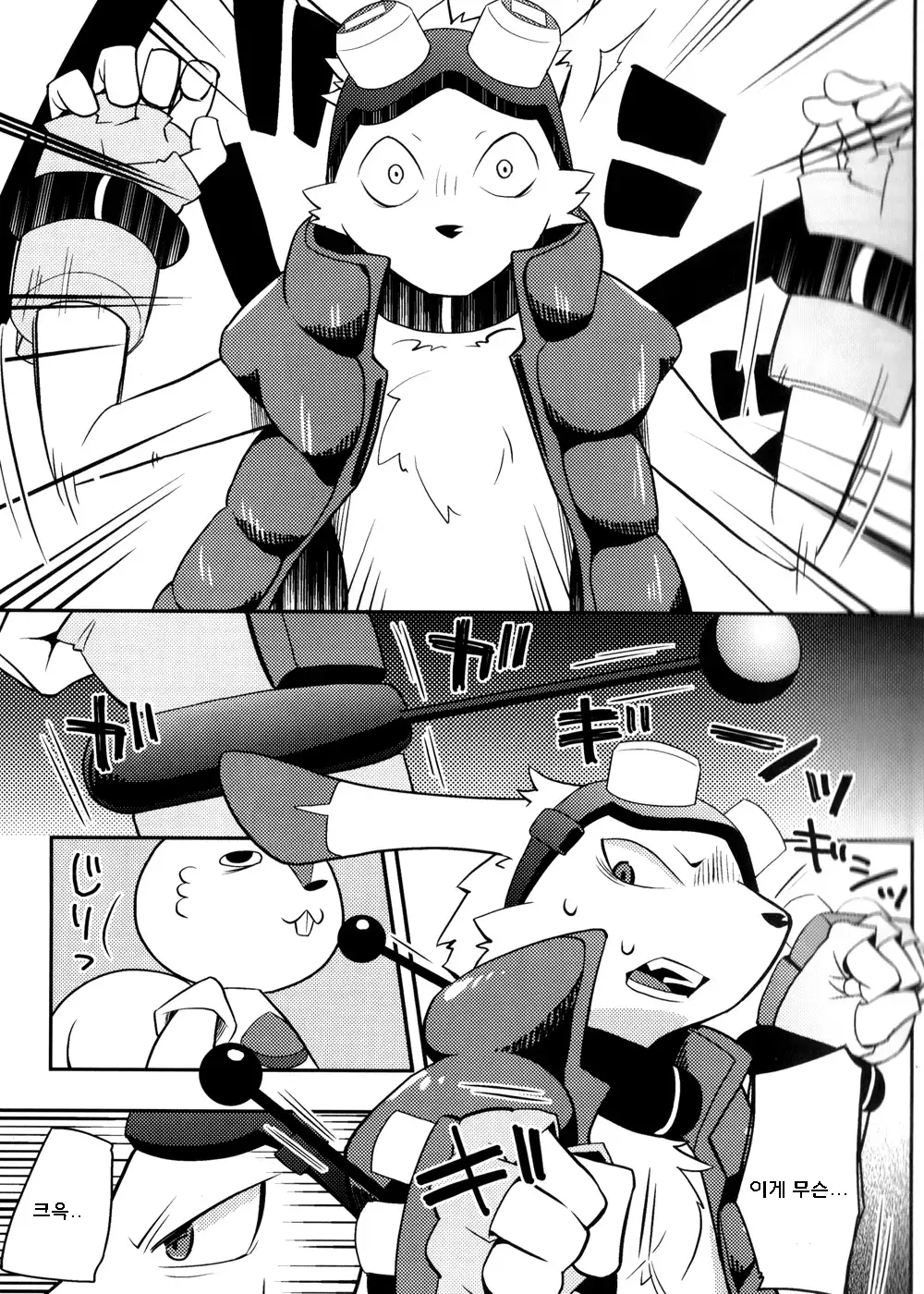 Usagi no Tenteki, Risu no Kamo