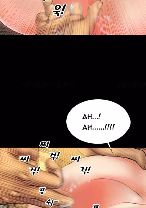 My Wives Ch.1-27