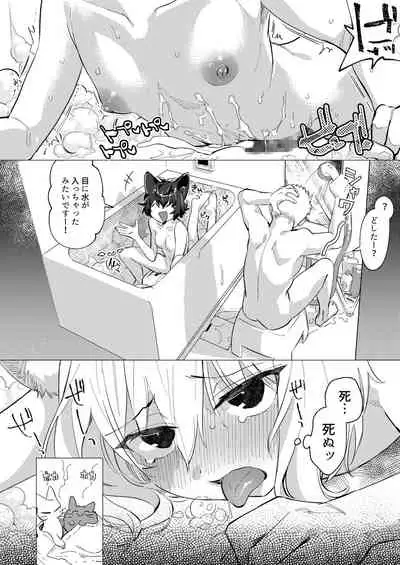 UR Neko-chans Life