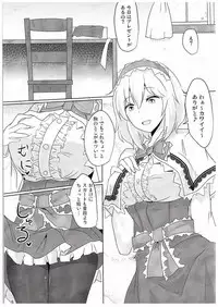 (Shuuki Reitaisai 2) [Hakuginmokusei (Poshi)] Alice ni Yokubou Decoration (Touhou Project)