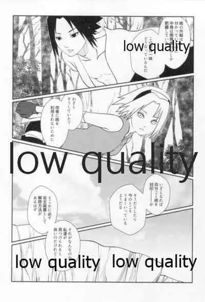 Time Travel Honeymoon 2