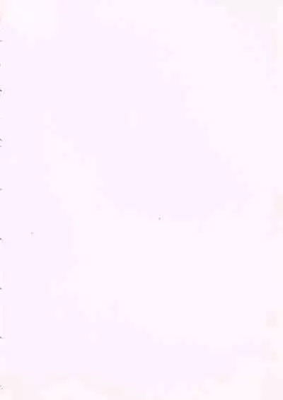 PC Bishoujo Software Strategy Book: Strategy King 2