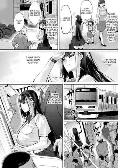 Ojou-sama Chikan Train