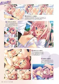 Zettai Series Visual Collection