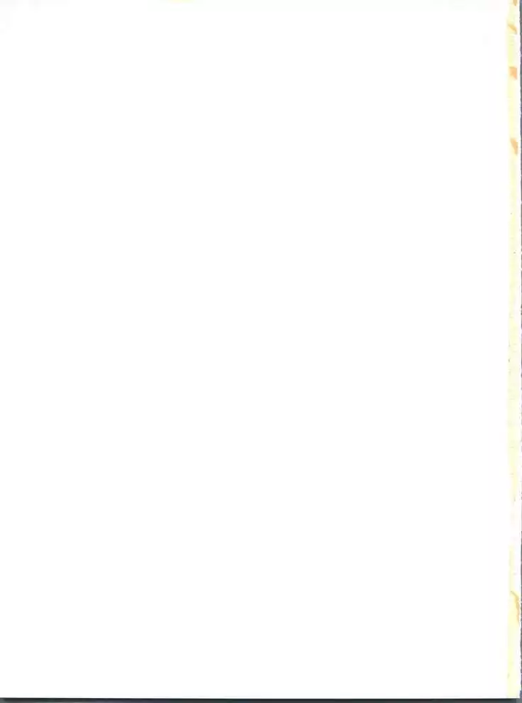 Imasara Nadia Tottemo Asuka vol. 1