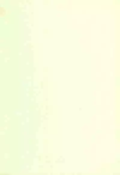 Mijuku!! Hanjuku!! Loli Loli Mori!! 6.5