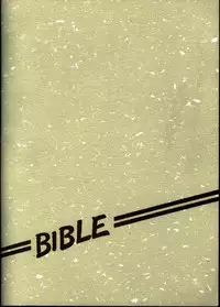 (CR33) [Bible (Ogata Satomi)] Kyouakuteki Shidou Vol. 11 Junbigou Version 4 (Tenchi Muyou!)