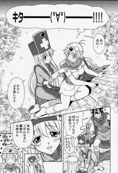 (C72) [STUDIO RUNAWAY WOLF (Nakajima Akihiko)] Moe Moe Quest Z Vol. 2 (Dragon Quest III)