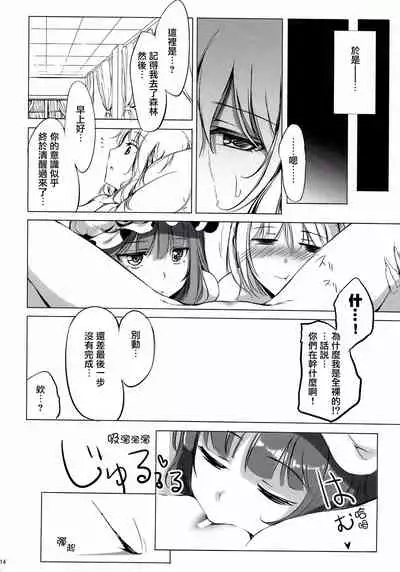(C81) [Gekidoku Shoujo (ke-ta, Hyuuga, Touma Nadare)] SLEEPING MAGE -Mahou no Mori no Nemurihime- Gekidoku Shoujo Publication Number VII (Touhou Project)[Chinese]