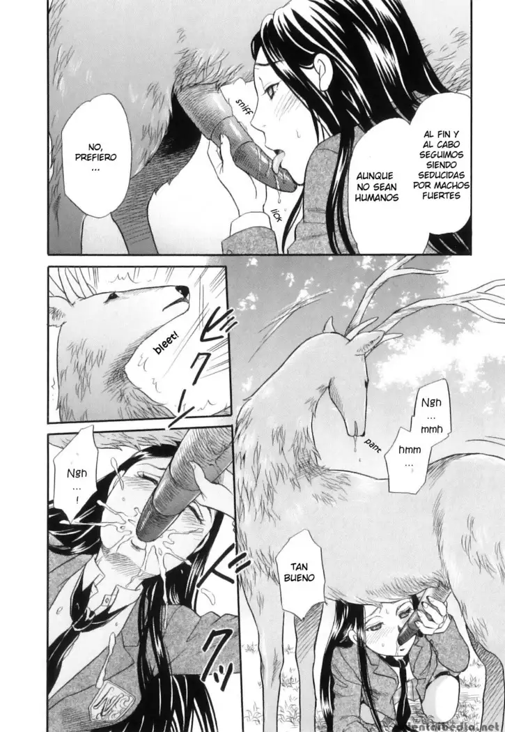 Shoujo-tachi no Yukue ~Shishigami no Mori~ | Divine Deer Forest ~Girls' Whereabouts~