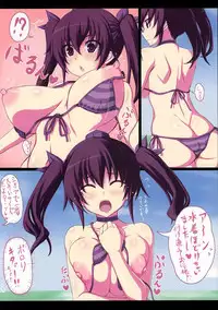 (C82) [ruciedo (jema)] Nagisa no Hatate-chan (Touhou Project)