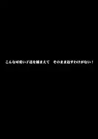 [NextPreview (MIA, Kasuki Masato)] Konna Kawaii Ko-tachi wo Ryoujokusuru Soushuuhen (Mahou Shoujo Lyrical Nanoha) [Digital]