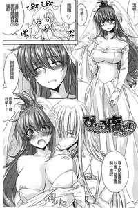 [Yuuki Homura] Ane Zukushi [Chinese]