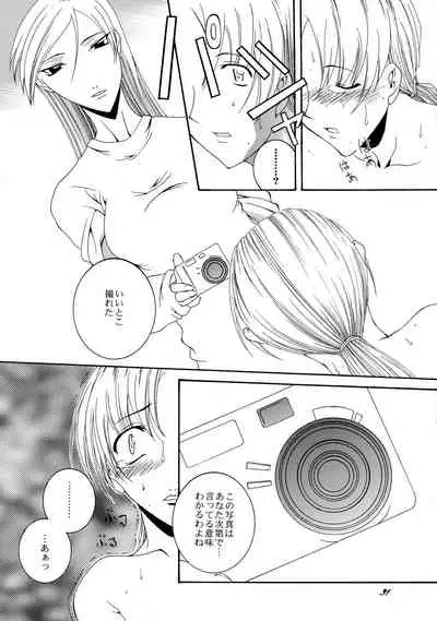 (CR33) [F-A (Honoutsukai)] Xs