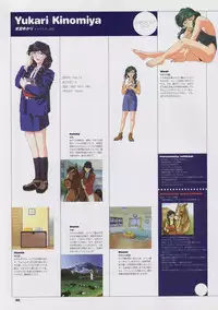 Super Real Mahjong Visual Fan Book Perfect Collection