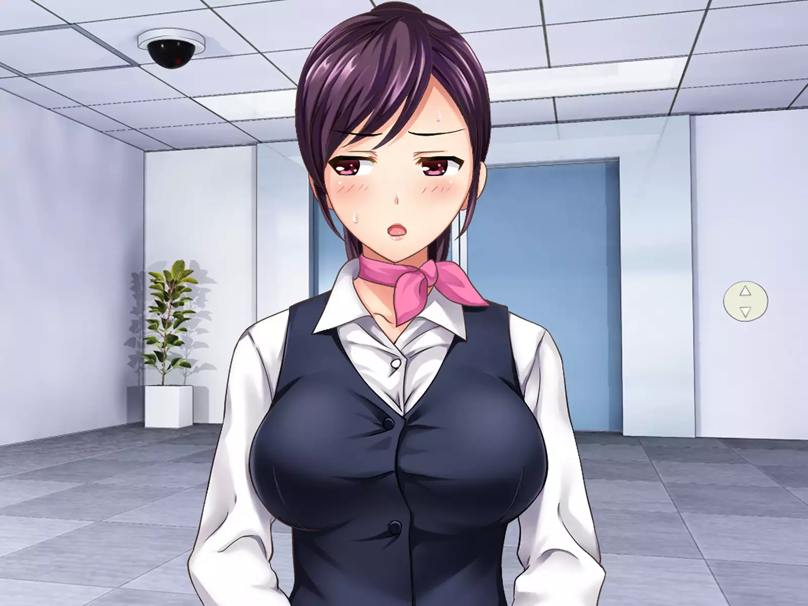 SASECO Card 2 Itsu demo Doko demo Dare to demo Oku made Okashite Sokuhame Charge!