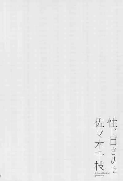 Sei ni Mezameta Sasaki Chie