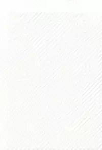 (Winning Shot 3) [Shiroino. (Nyarosu)] Birthday Limited. (Daiya no Ace)