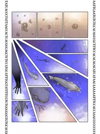 [Otoshinkuru] PRINCESS COMET : G (GRAVITY)