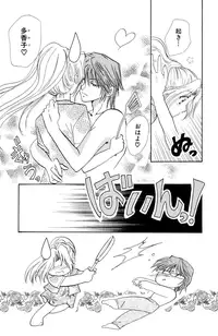 Darenimo Ienai Maru himitsu + vol.12 Forbidden Love