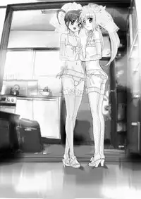 [Missing Paradise] Nanofelife (Mahou Shoujo Lyrical Nanoha)