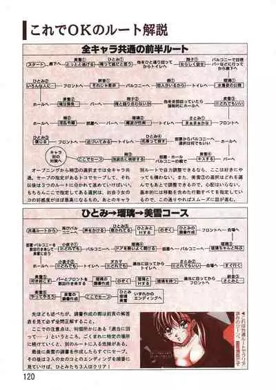 PC Bishoujo Software Strategy Book: Strategy King 2