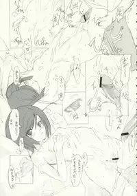 [PaperCrown] Houko Chronicle (Tawagoto Series)