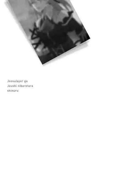 JosouLayer ga Joushi ni Baretara Shinuru | 女装马甲被上司扒掉的话还不如死了算了 Ch. 2-4