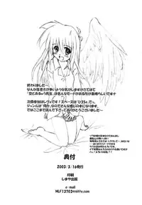 (SC19) [Schwester (Shirau Inasaki)] Rollin 10 (Ukagaka)